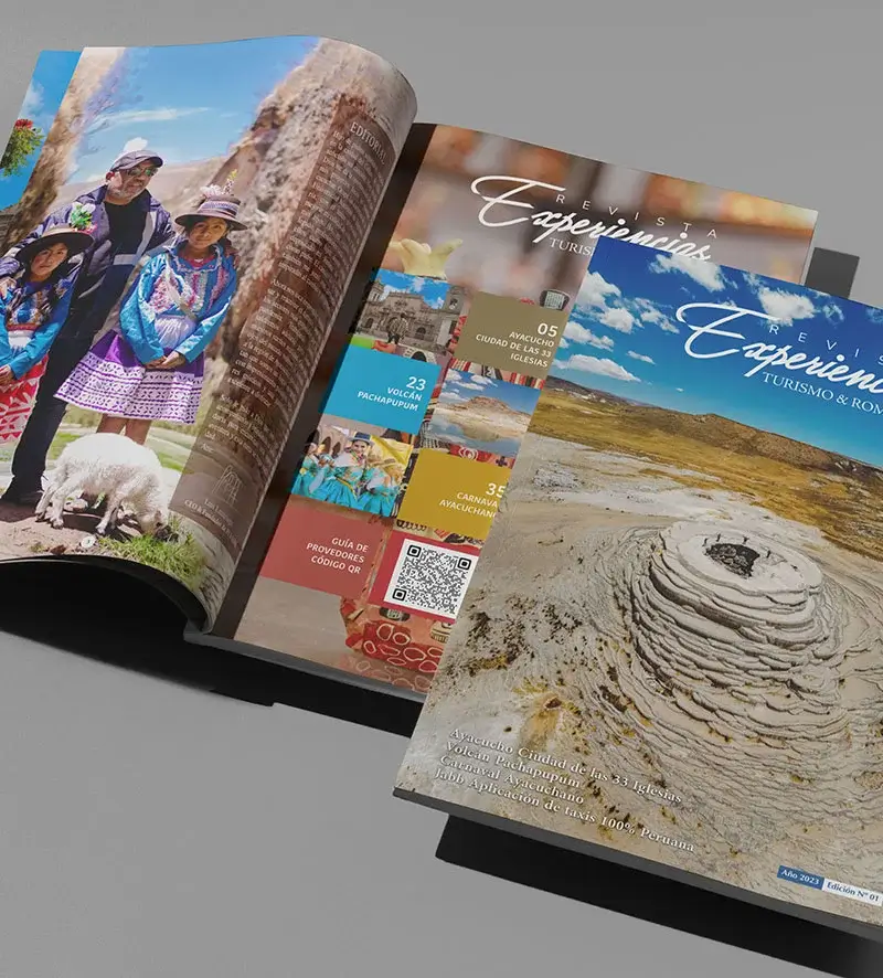 REVISTA EXPERIENCIA - CCrea